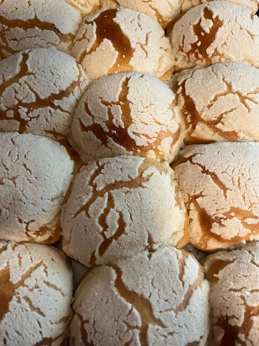 Pan semita